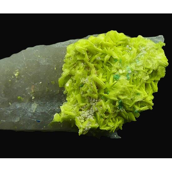 Autunite