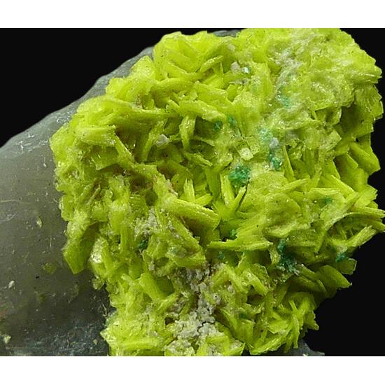 Autunite