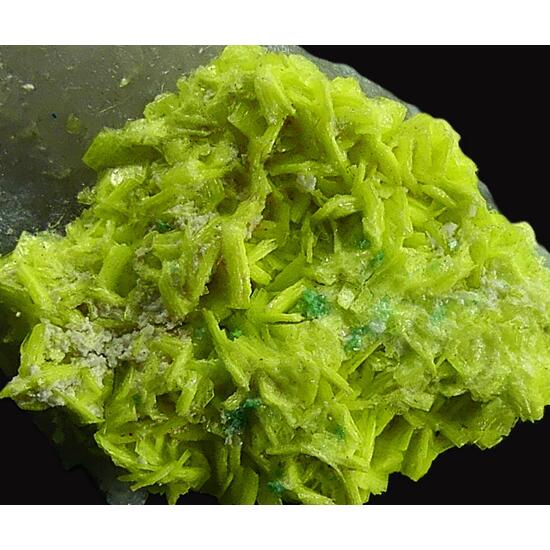 Autunite