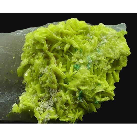 Autunite