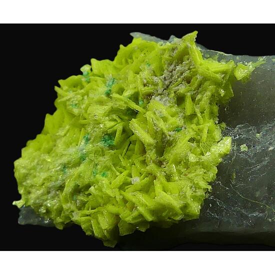 Autunite