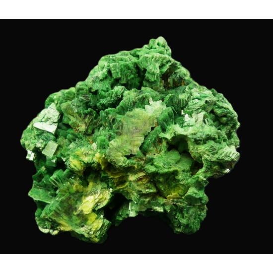 Torbernite & Autunite