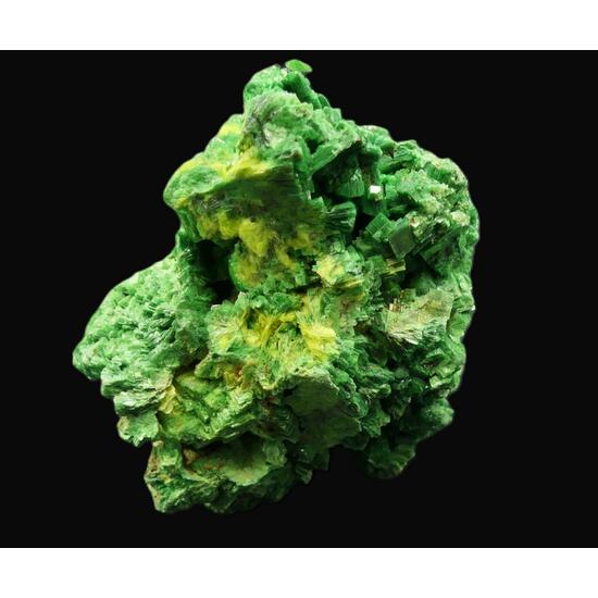 Torbernite & Autunite
