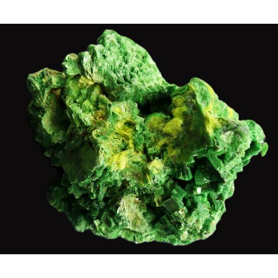 Torbernite & Autunite
