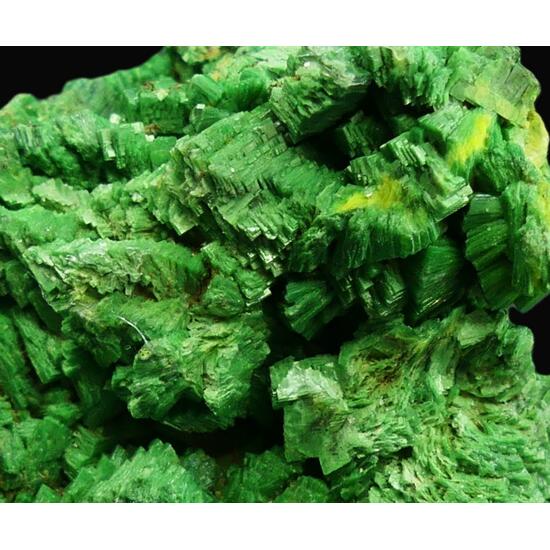 Torbernite & Autunite