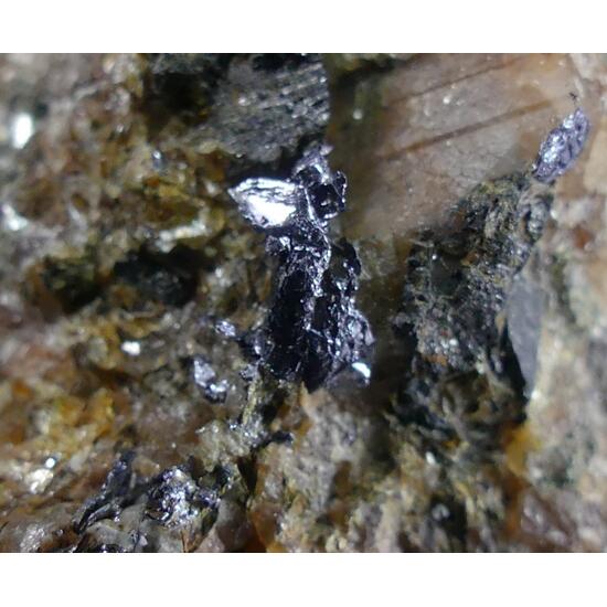 Molybdenite & Ferberite