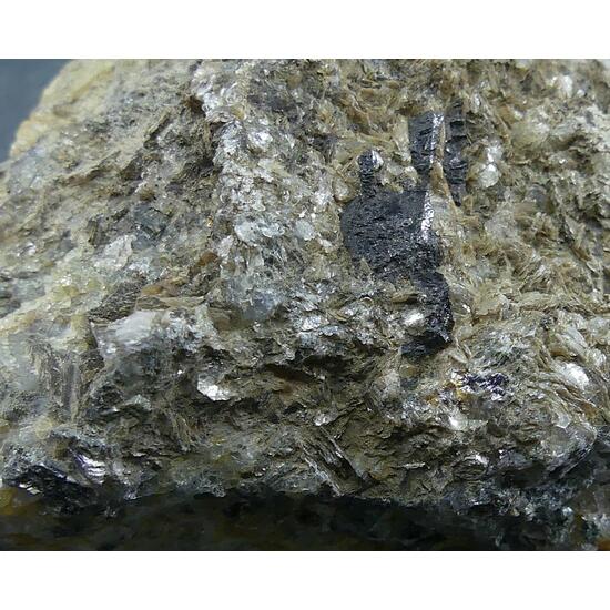 Molybdenite & Ferberite