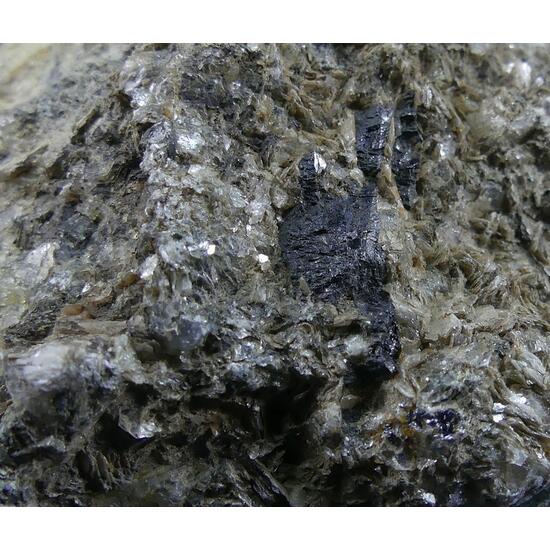 Molybdenite & Ferberite