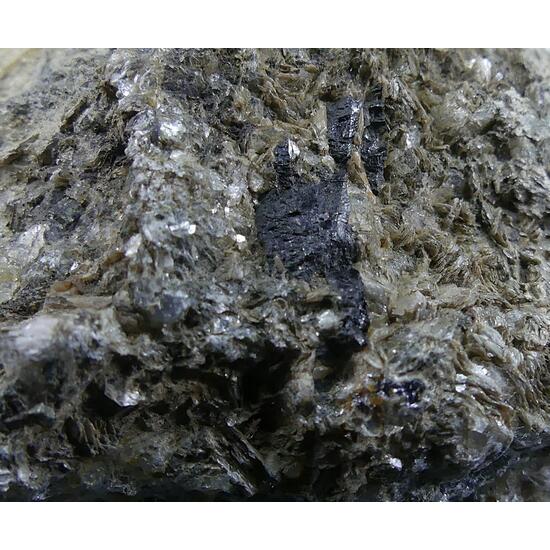 Molybdenite & Ferberite