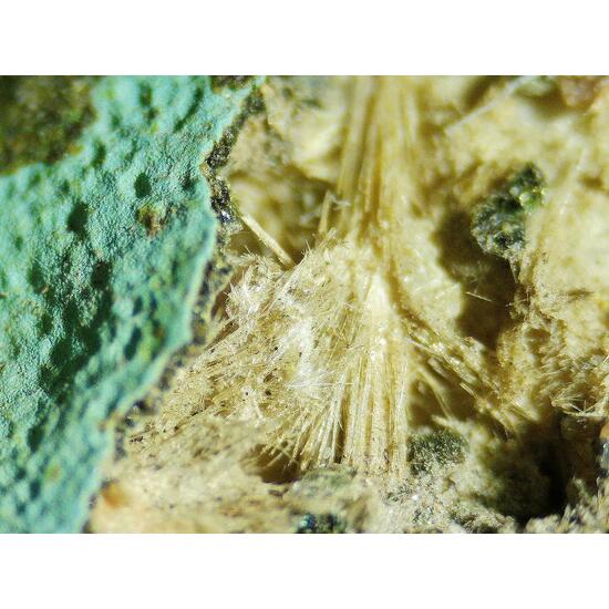 Mordenite Nontronite & Celadonite