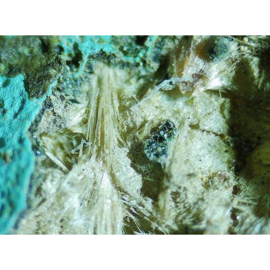 Mordenite Nontronite & Celadonite