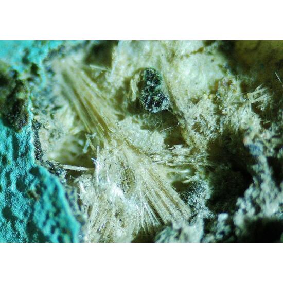 Mordenite Nontronite & Celadonite