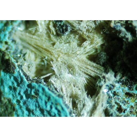 Mordenite Nontronite & Celadonite