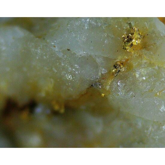 Native Gold & Quartz