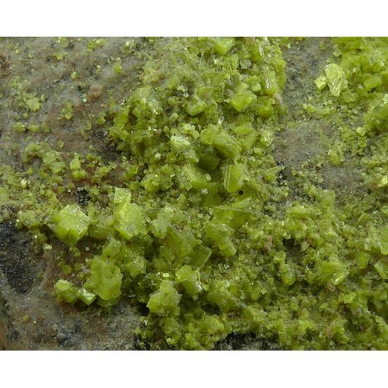 Autunite