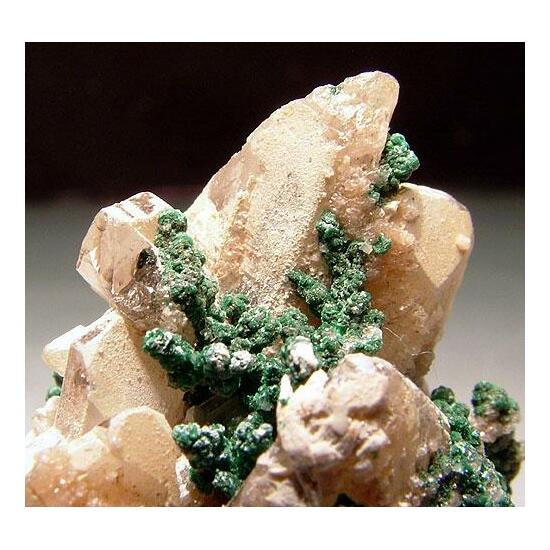 Mottramite & Hydrocerussite