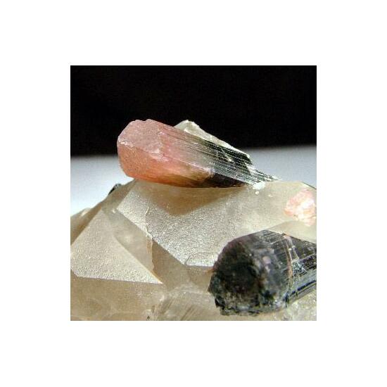 Tourmaline Var Liddicoatite & Quartz