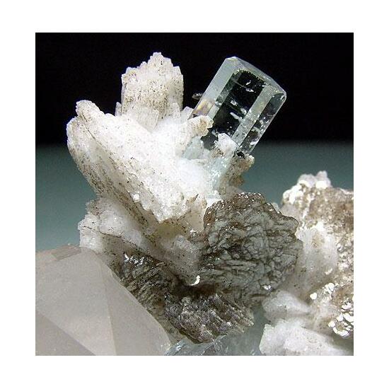 Aquamarine With Tantalite Quartz Muscovite & Albite