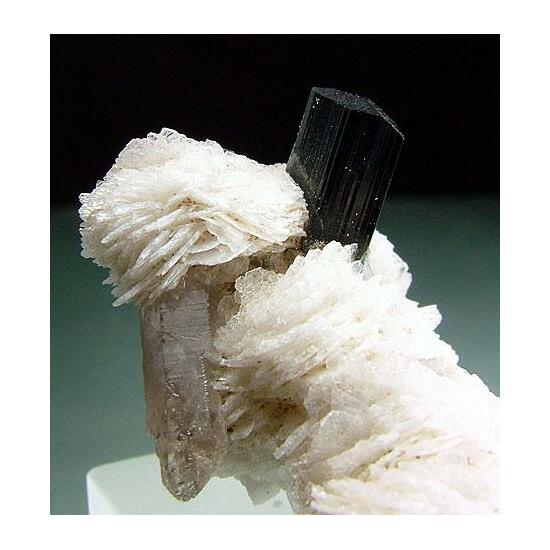 Cleavelandite & Schorl