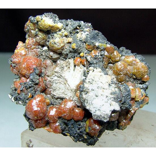 Campylite