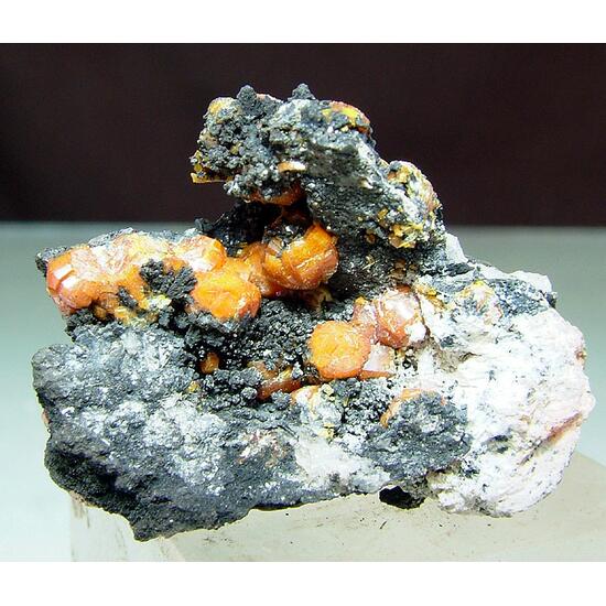 Campylite