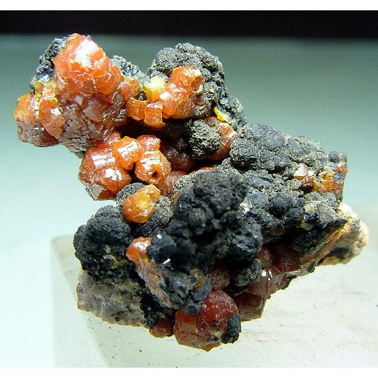 Campylite On Manganese