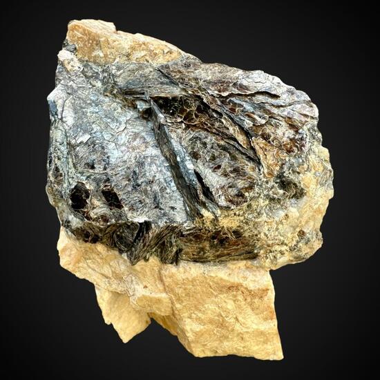 Biotite