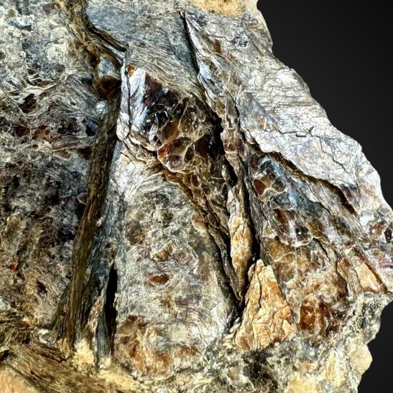 Biotite