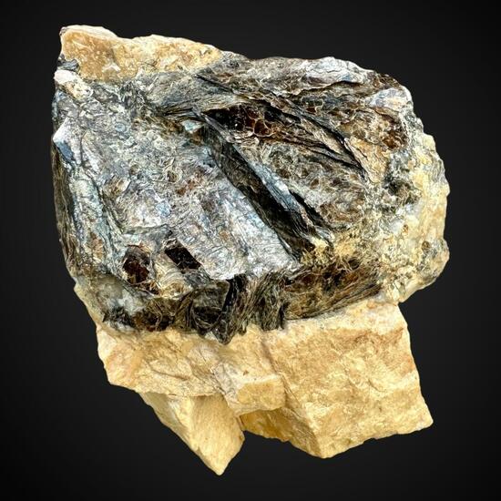 Biotite