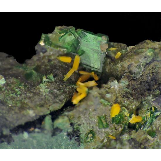 Kasolite & Metatorbernite