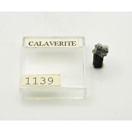 Calaverite