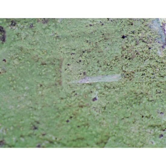 Aragonite On Duftite