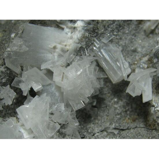 Thomsonite-Ca