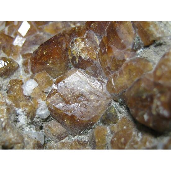 Garnet & Vesuvianite