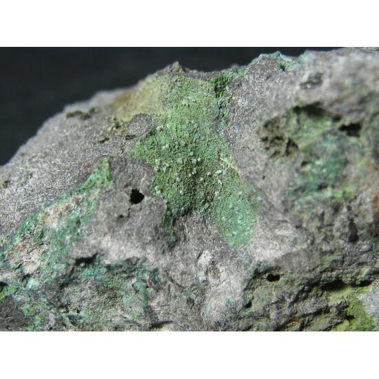 Atacamite & Volborthite