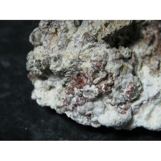 Hydrokenoralstonite