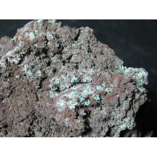 Paratacamite