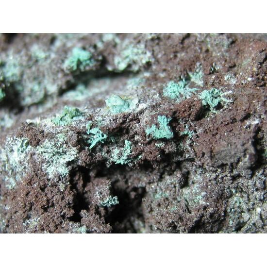 Paratacamite