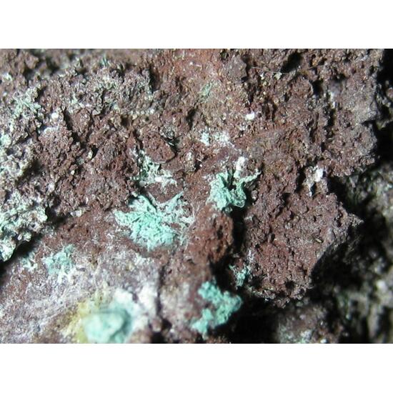 Paratacamite