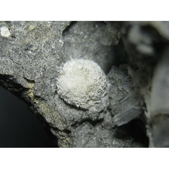 Thomsonite-Ca