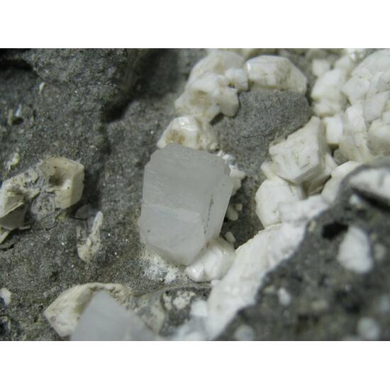 Thomsonite-Ca & Phillipsite