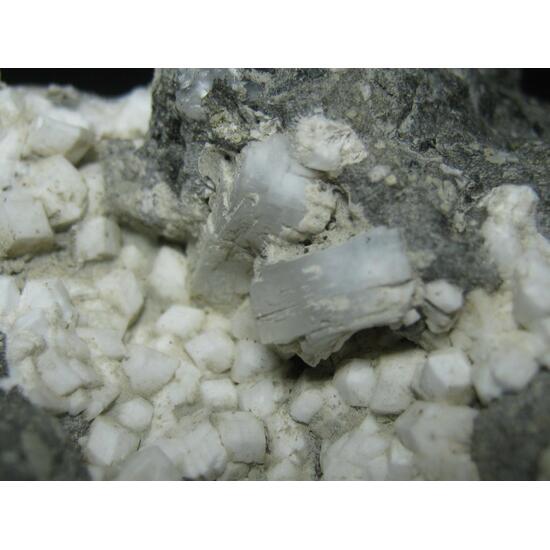 Thomsonite-Ca & Phillipsite
