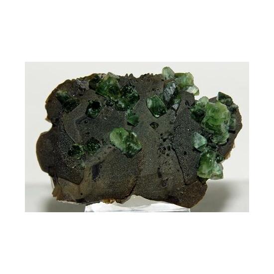 Ludlamite & Siderite