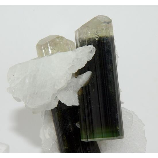 Elbaite Tourmaline In Albite