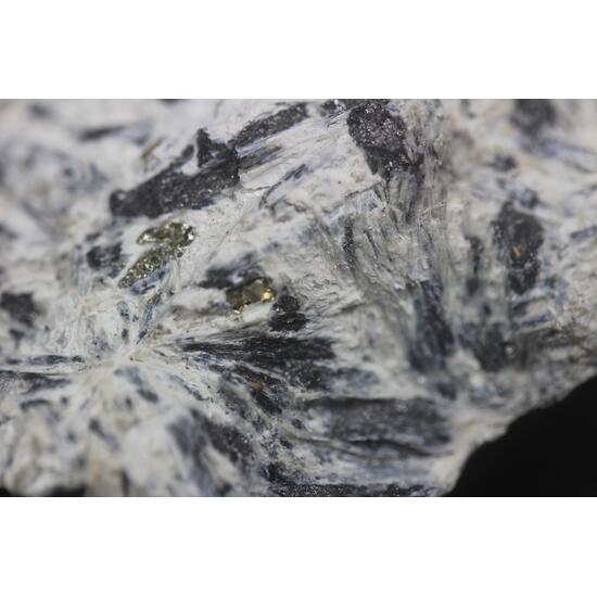 Szaibélyite & Ludwigite