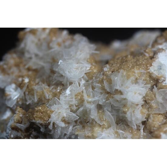 Anhydrite & Dolomite