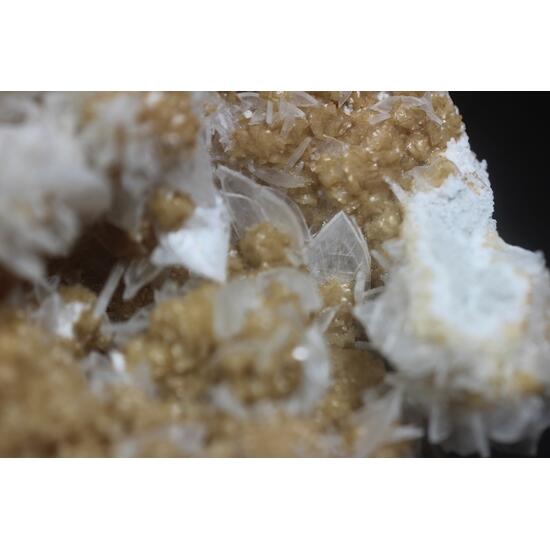 Anhydrite & Dolomite