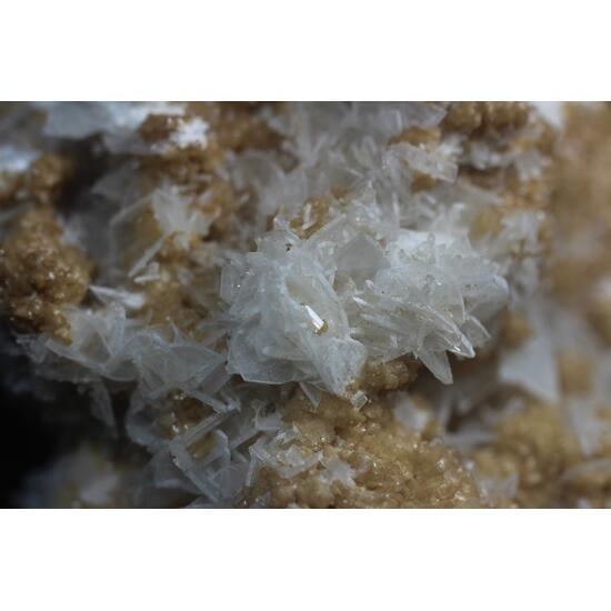 Anhydrite & Dolomite