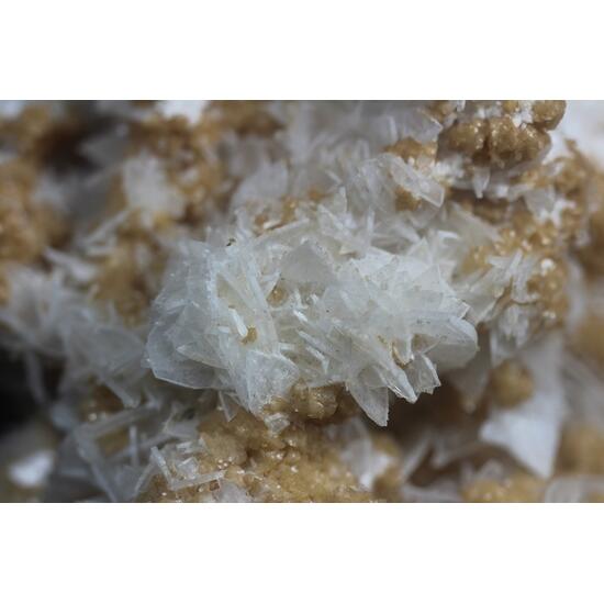 Anhydrite & Dolomite