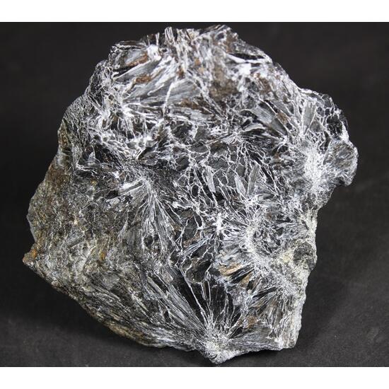 Ludwigite